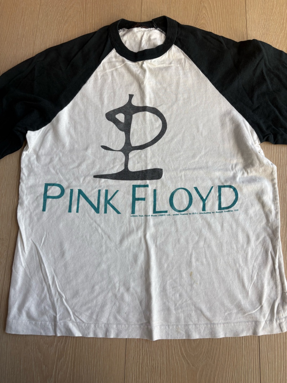 Pink Floyd Kids Raglan Tee in White, Black and Teal